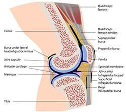 Doctor Formulation